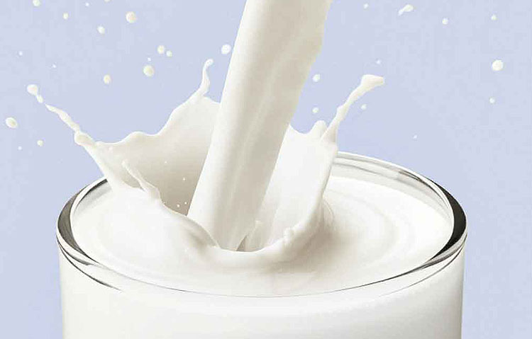 Cinco fatos sobre intolerância à lactose