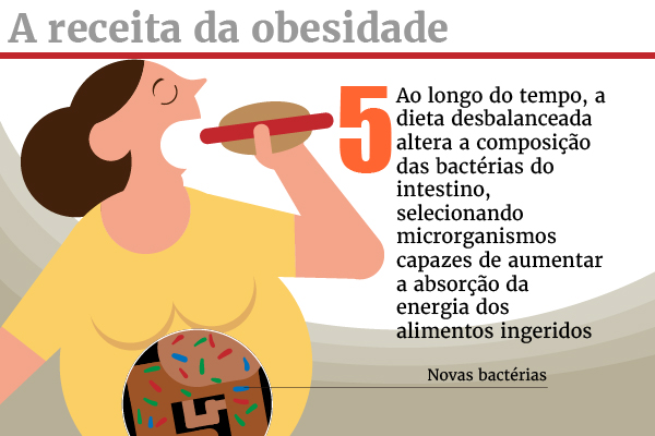 galeria_receita_obesidade_5-100