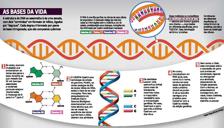 Técnica de Reparo do DNA Pode Tratar Problemas como Doença Renal e Diabetes