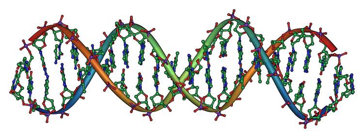 Técnica de reparo do DNA pode tratar problemas como doença renal e diabetes