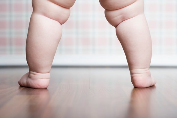 42. Uma Escala De Risco Genético Tenta Prever Se Uma Criança Se Tornará Obesa