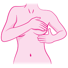 Nenhum efeito sobre o risco de desenvolver câncer de mama, mostram os dados de acompanhamento da Women’s Health Initiative