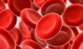 58. Variação de glóbulos vermelhos da doença hepática altera as leituras de HbA1c