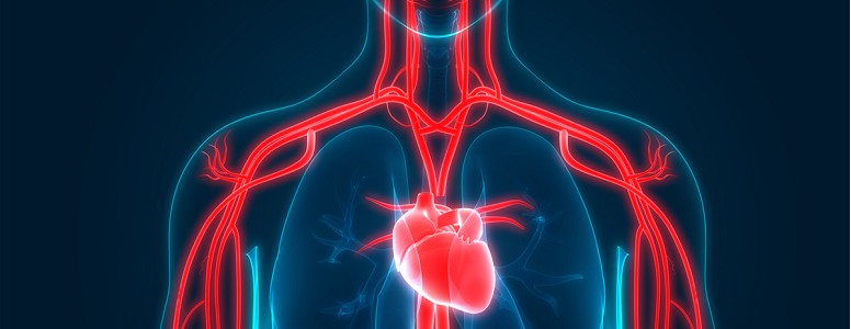 99.Pesquisadores Suecos Aconselham: Manter um Peso Saudável Para Diminuir o Risco Cardiovascular