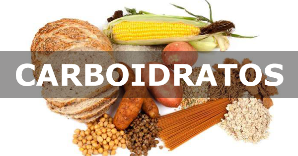 Carboidratos: Líquidos e Totais – Como Calculá-los