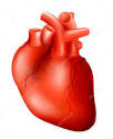 Medicamentos para Insuficiência Cardíaca com Fração de Ejeção Preservada