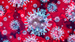 Informe da Sociedade Brasileira de Infectologia sobre o Novo Coronavírus
