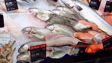 Comer Peixe Vinculado a Menos Eventos Cardiovasculares em Pessoas de Alto Risco