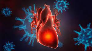Dados Tranquilizadores sobre o Impacto do Covid-19 Moderado no Coração
