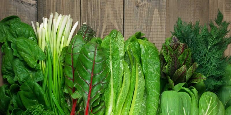 Uma Xícara de Vegetais Verdes Folhosos Diariamente Mantém o Cardiologista Longe