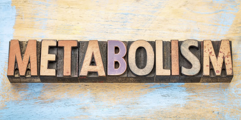 Pesquisa Identifica : O Metabolismo Permanece “Sólido Como uma Rocha” Durante a Meia-Idade