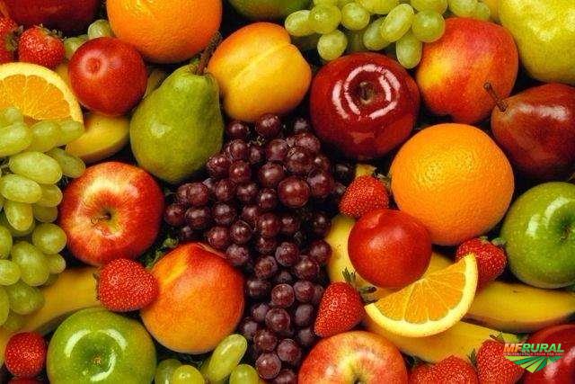 Morangos, Espinafre, Couve: No Topo da Lista de Alimentos com Alto Nível de Pesticidas