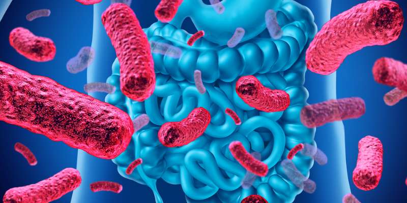 Efeitos da “Matéria Escura Química” Encontrada em Bactérias Intestinais Podem Ajudar na Compreensão do Desenvolvimento do Câncer