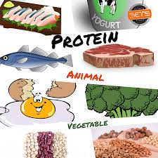 Quanta Proteína Você Precisa Para Construir Músculos?