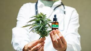 Recomendações da Comissão AMB: Produtos de cannabis – Uso Médico – AMB